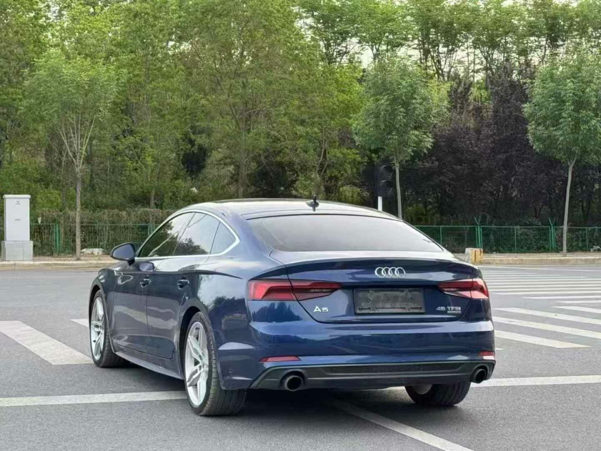 奧迪 奧迪Q5  2018款 典藏版 40 TFSI 技術(shù)型圖片