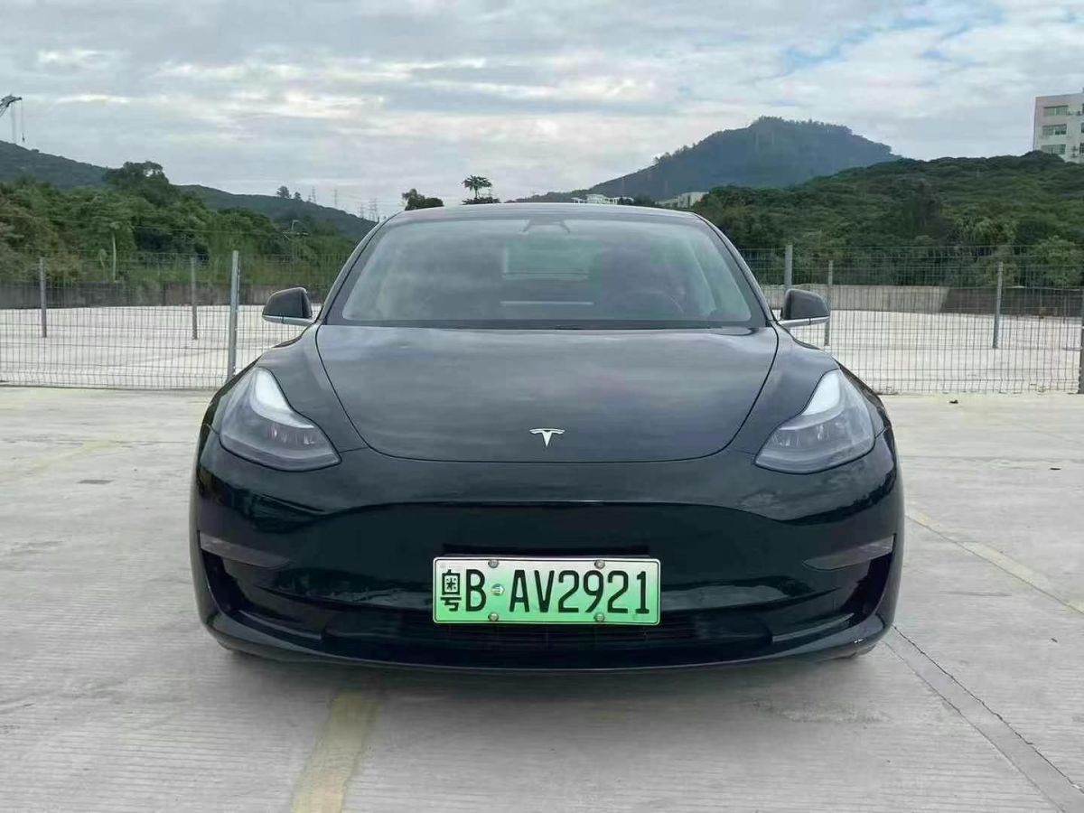 特斯拉 Model X  2020款 Performance 高性能版圖片