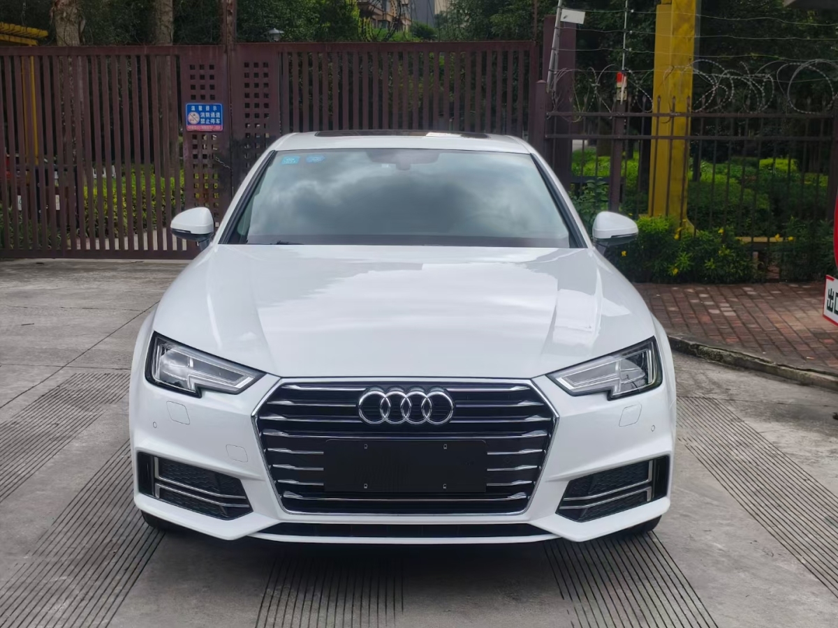 奧迪 奧迪A4L  2019款 40 TFSI 進取型 國VI圖片