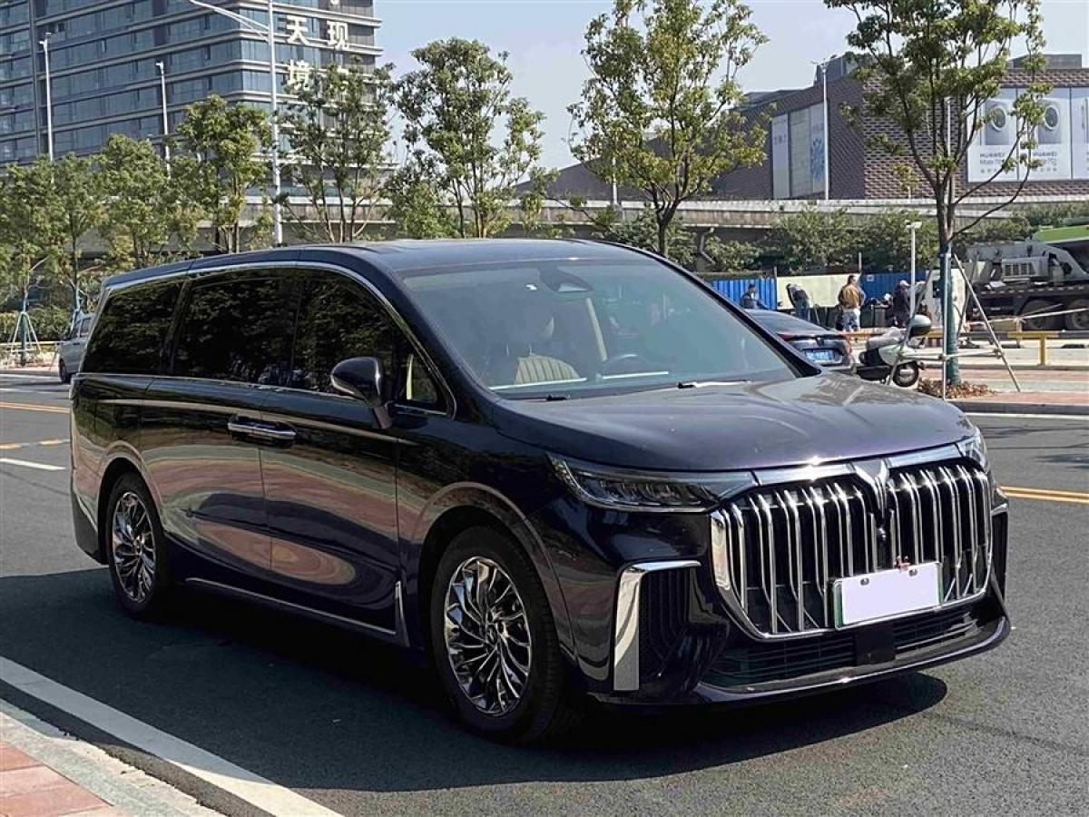 嵐圖 夢想家  2024款 PHEV 超長續(xù)航旗艦版圖片