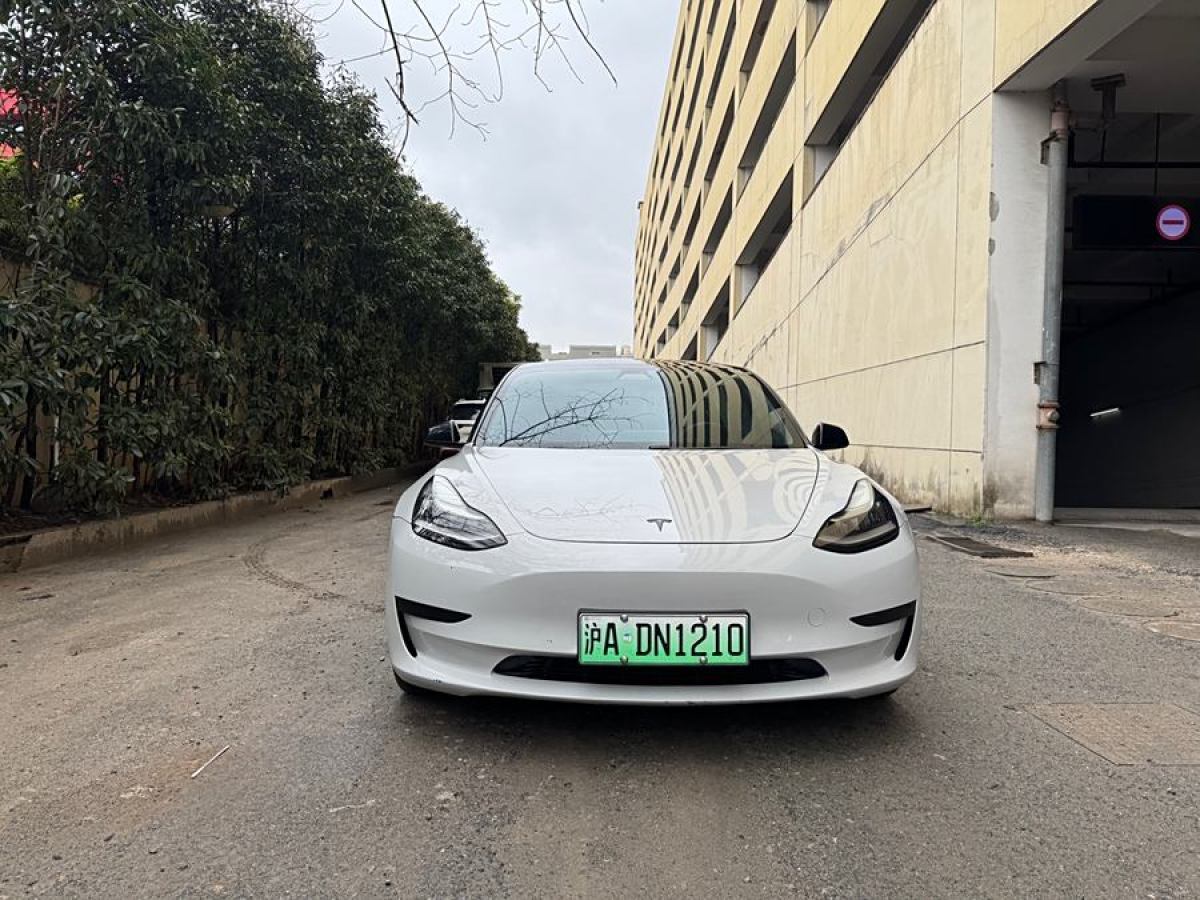 特斯拉 Model 3  2020款 改款 長續(xù)航后輪驅(qū)動版圖片