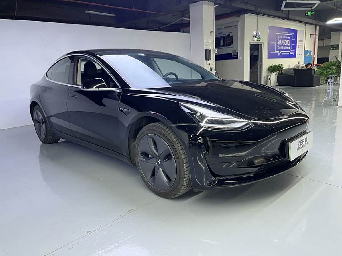 2021年1月特斯拉 Model 3  2021款 標(biāo)準(zhǔn)續(xù)航后驅(qū)升級(jí)版 3D6