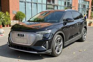 奧迪Q5 e-tron 奧迪 40 e-tron 星耀型 錦衣套裝