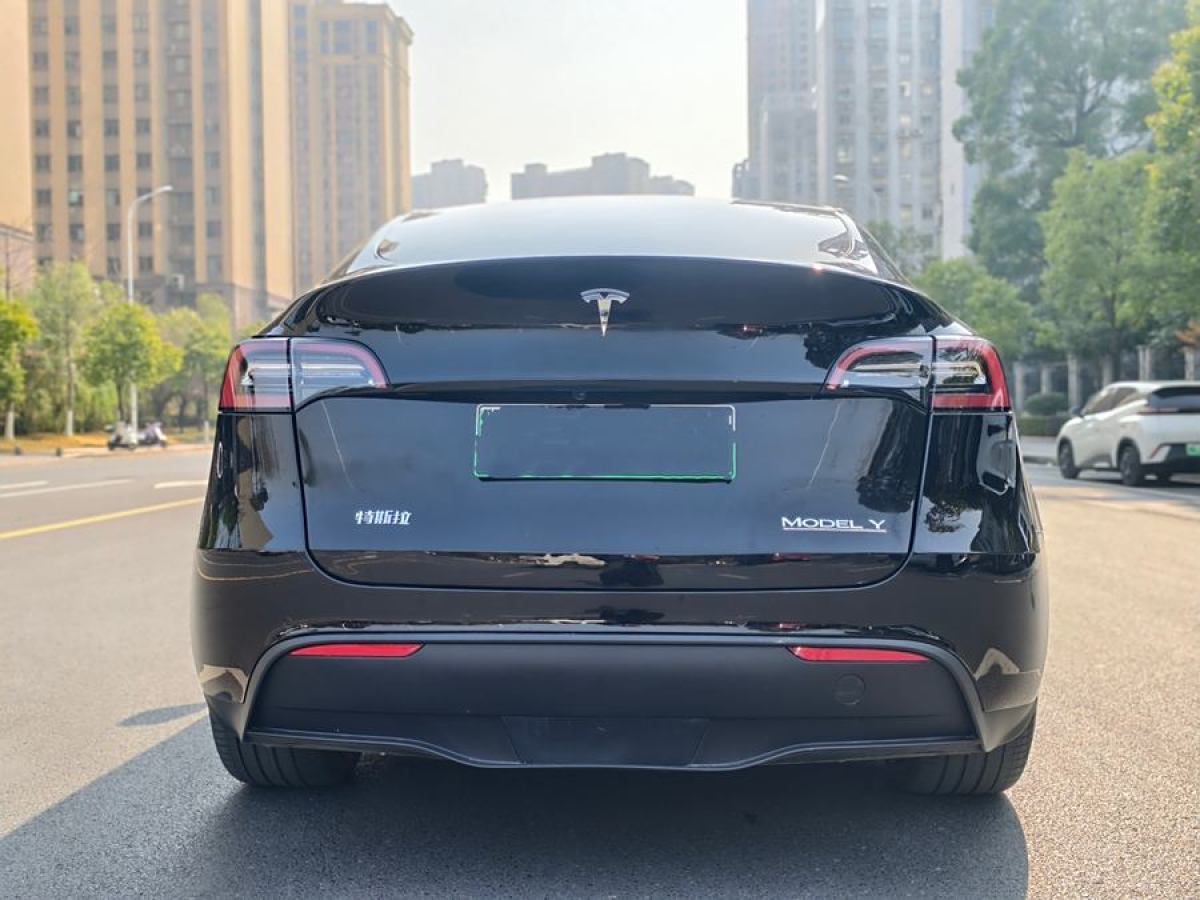 特斯拉 Model 3  2022款 Performance高性能全輪驅(qū)動(dòng)版圖片