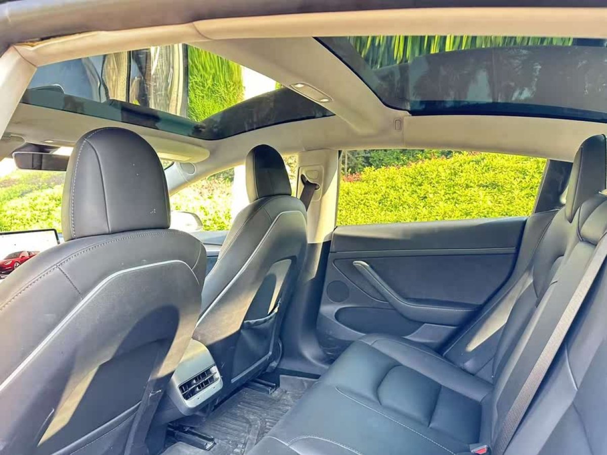 特斯拉 Model 3  2022款 后輪驅(qū)動版圖片