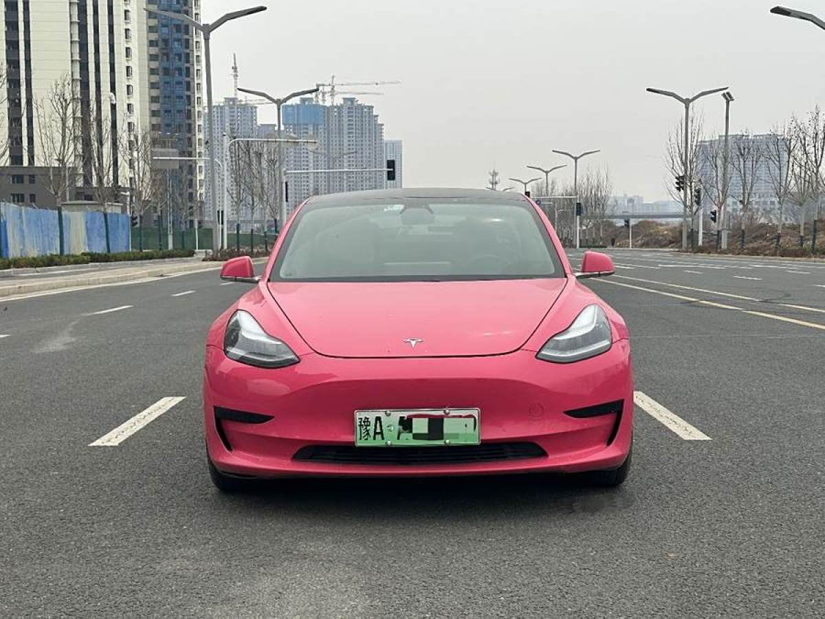 2020年5月特斯拉 Model 3  2019款 標(biāo)準(zhǔn)續(xù)航后驅(qū)升級(jí)版