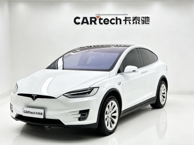 特斯拉 Model X  2020款 長續(xù)航升級版圖片