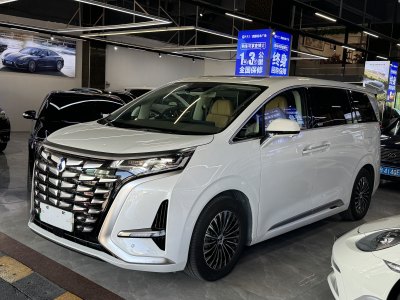 2023年12月 腾势 腾势D9 DM-i 1040 尊贵型图片