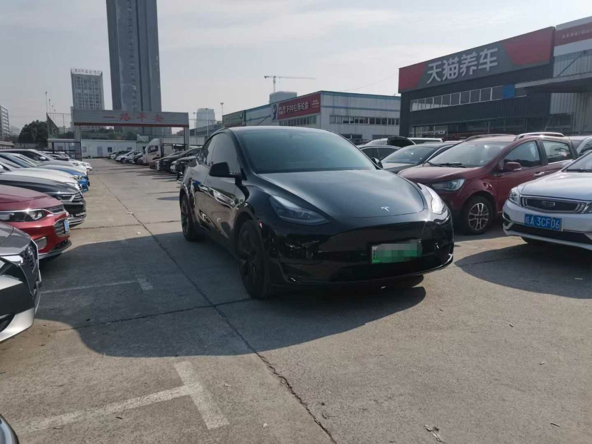 特斯拉 Model Y  2024款 Performance高性能版圖片