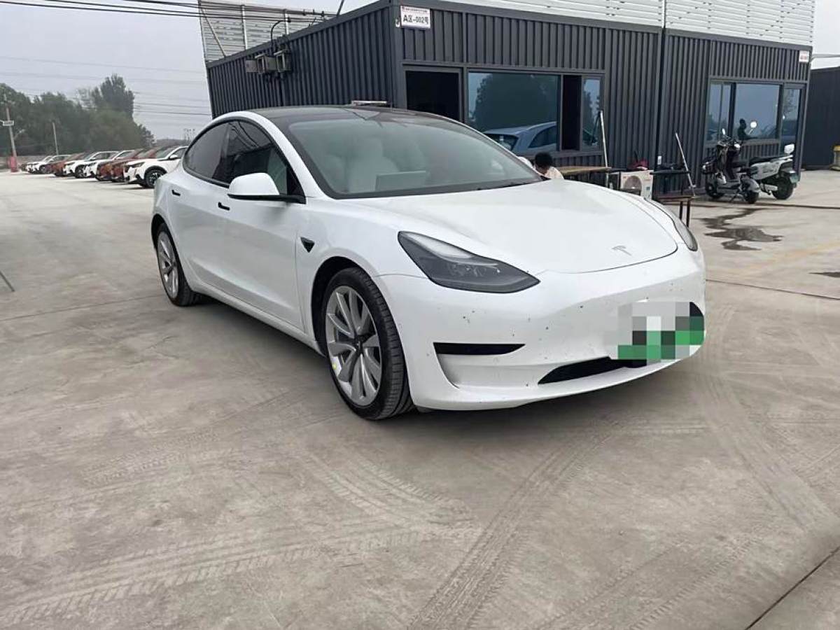 特斯拉 Model Y  2021款 改款 標準續(xù)航后驅(qū)升級版圖片