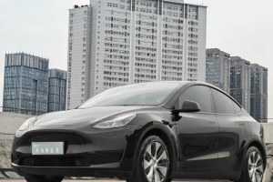 Model Y 特斯拉 改款 后輪驅(qū)動版