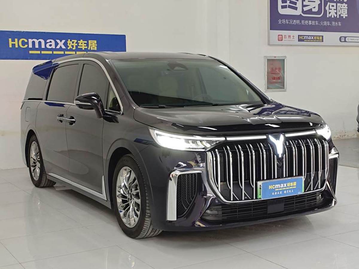 嵐圖 夢想家  2024款 PHEV 超長續(xù)航旗艦版圖片