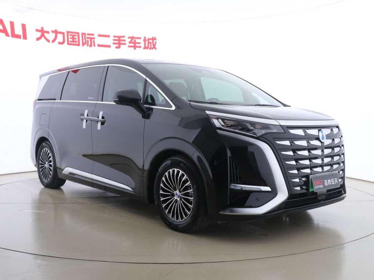 騰勢 騰勢D9  2022款 DM-i 1040 尊貴型圖片