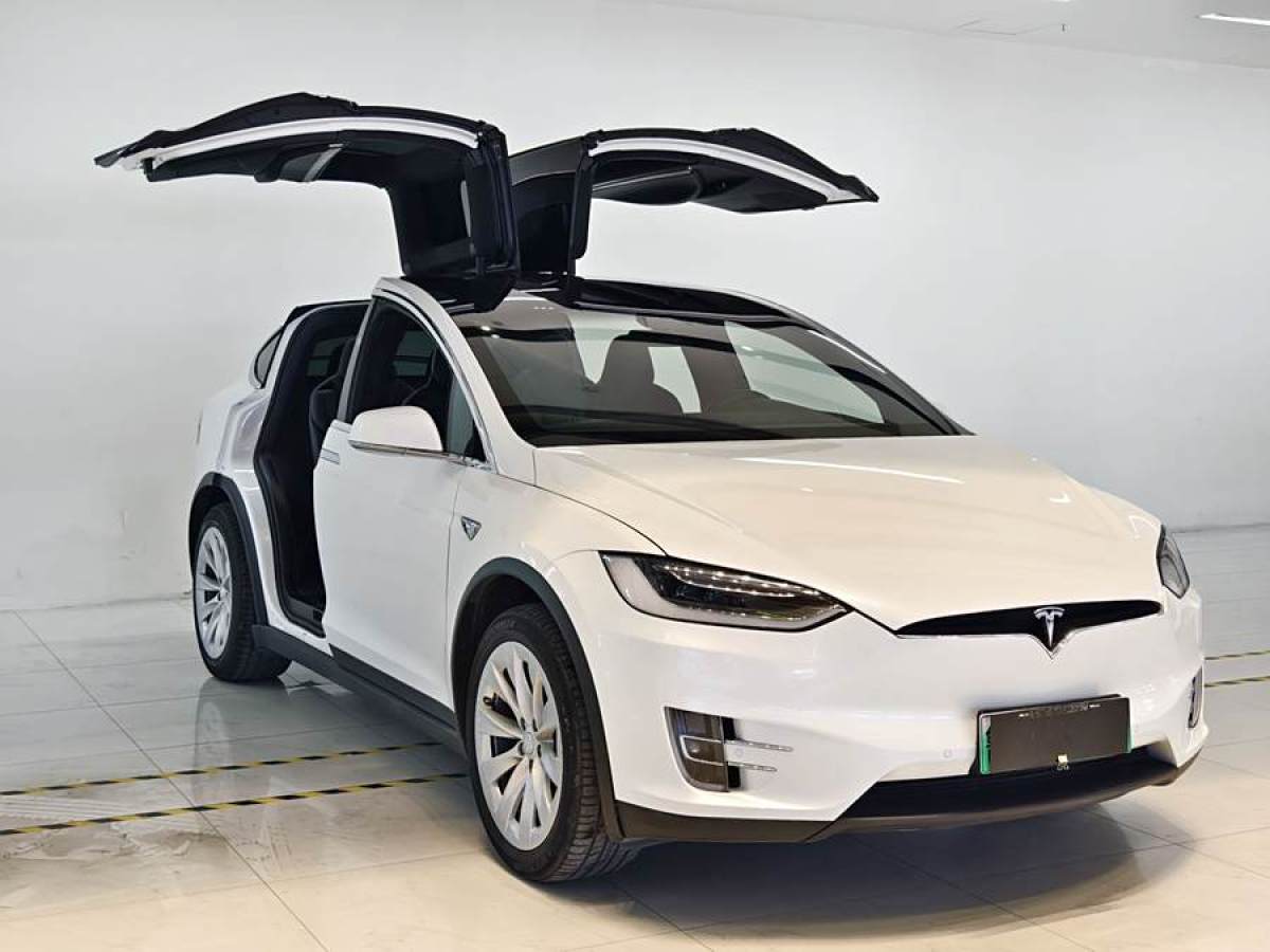 特斯拉 Model X  2016款 Model X 75D圖片