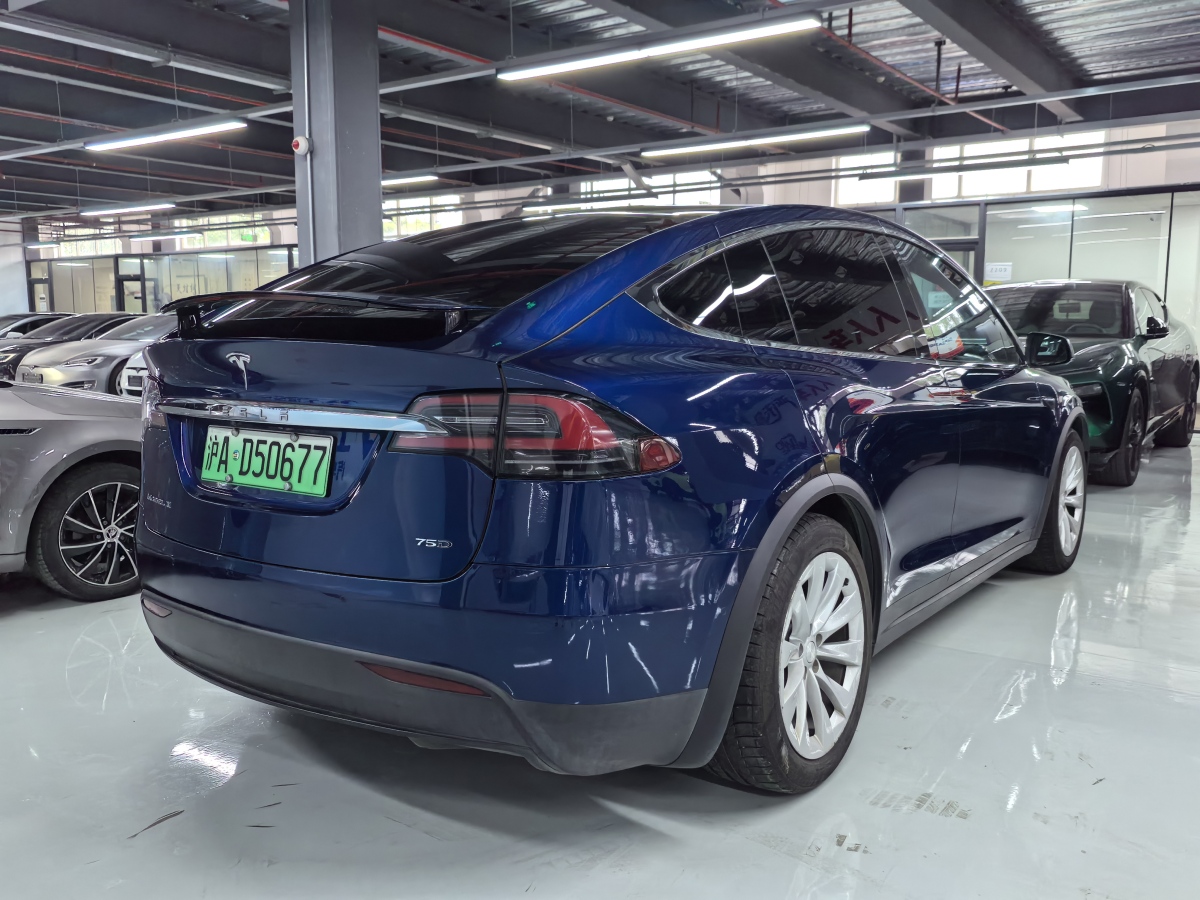 特斯拉 Model X  2016款 Model X 75D图片