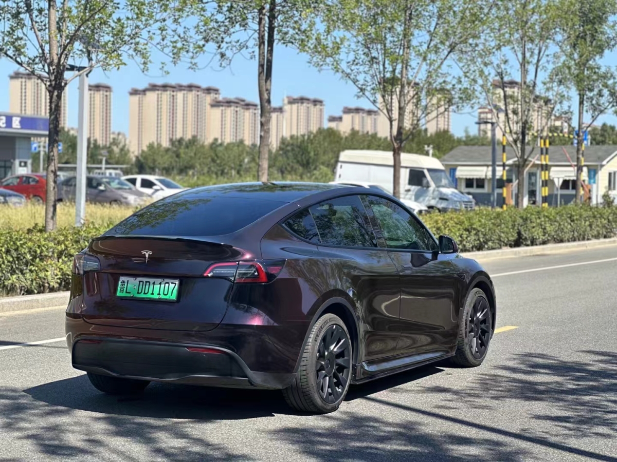 特斯拉 Model Y  2021款 改款 標(biāo)準(zhǔn)續(xù)航后驅(qū)升級版圖片