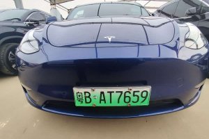 Model Y 特斯拉 標(biāo)準(zhǔn)續(xù)航后驅(qū)版