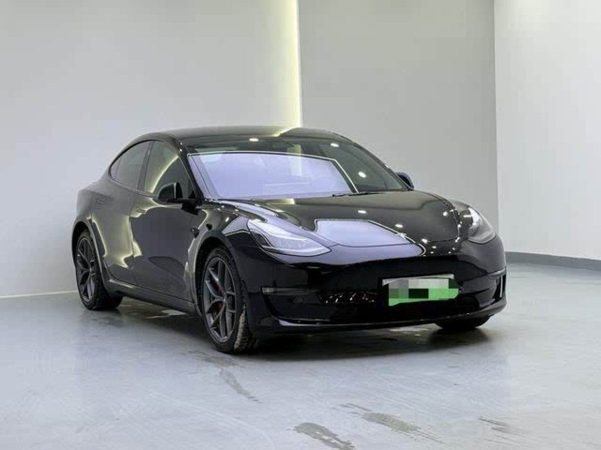 特斯拉 Model 3  2021款 改款 Performance高性能全輪驅(qū)動版圖片
