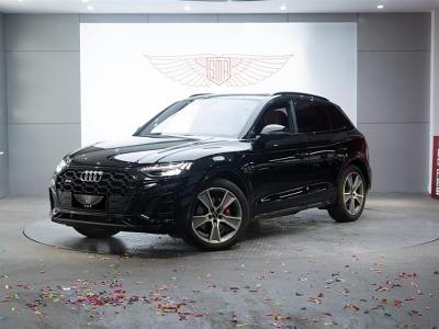 2022年1月 奧迪 奧迪SQ5(進(jìn)口) SQ5 3.0 TFSI quattro圖片