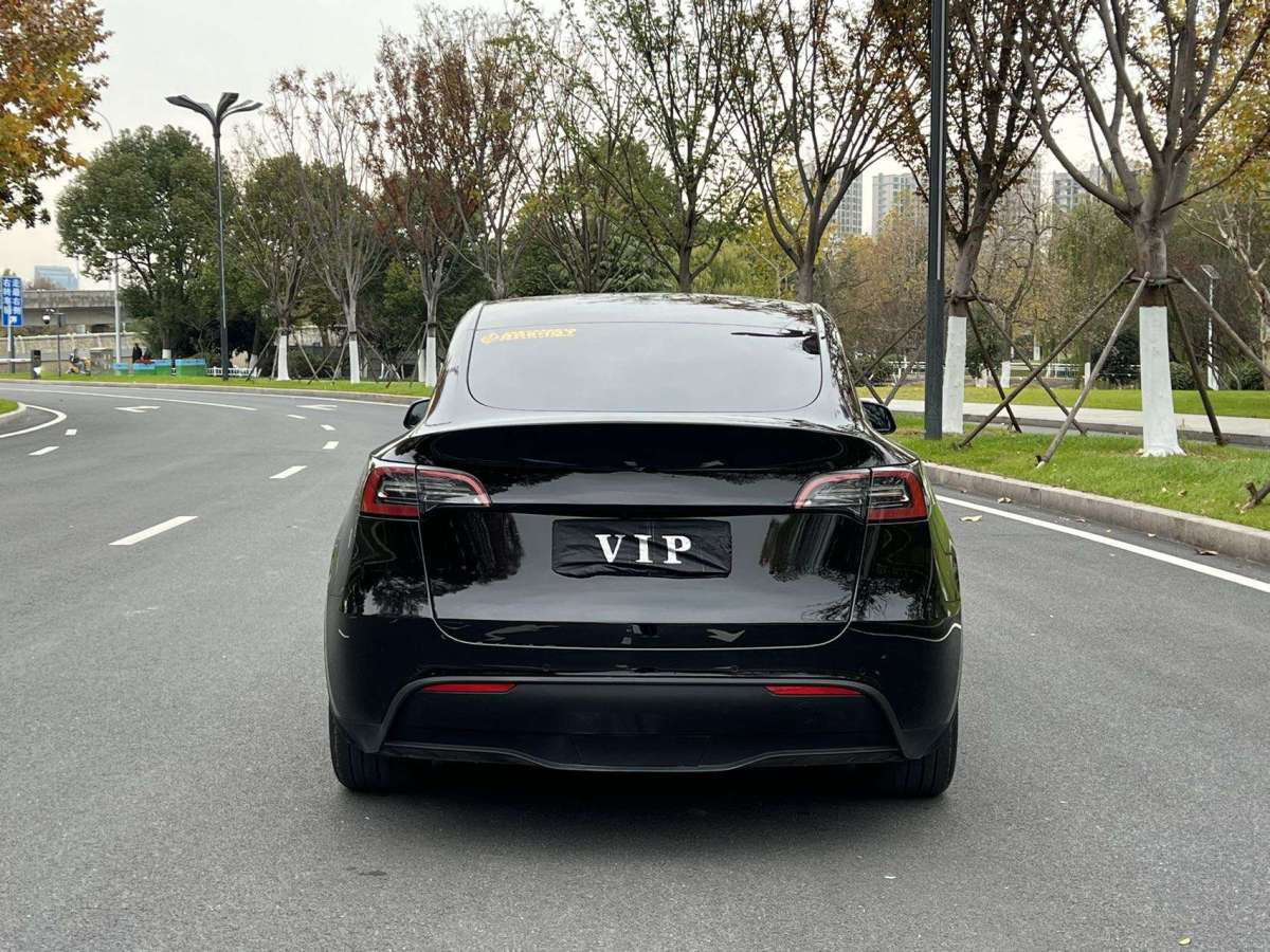 特斯拉 Model Y  2022款 后驅(qū)版圖片