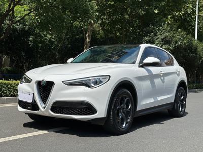 2019年7月 阿尔法·罗密欧 Stelvio 2.0T 200HP 豪华版图片