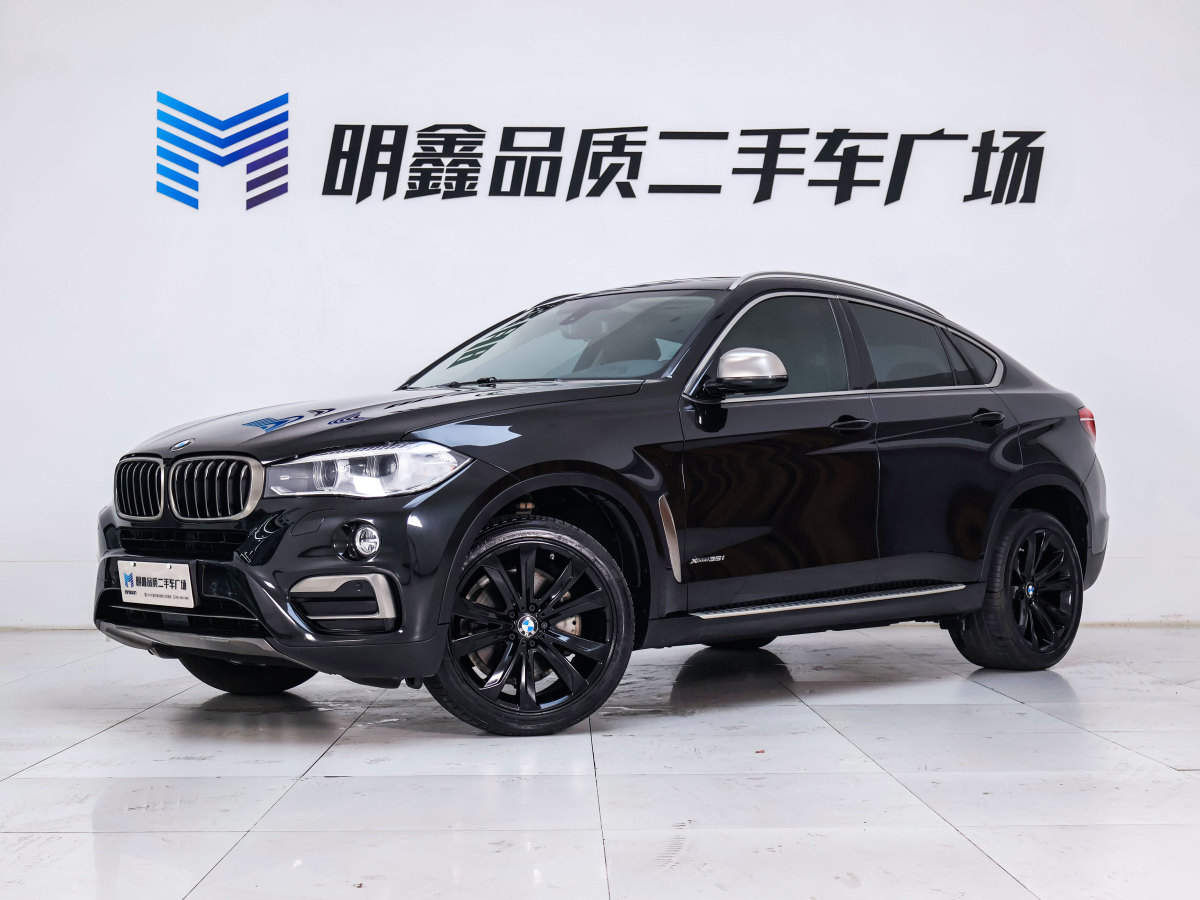 寶馬 寶馬X6  2018款 xDrive35i 領(lǐng)先型圖片