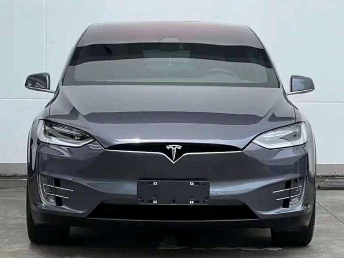 特斯拉 Model X  2016款 Model X 75D圖片