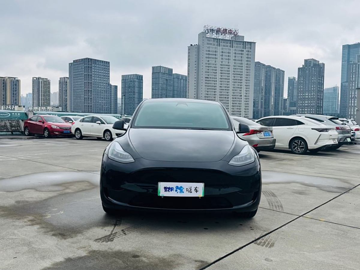 特斯拉 Model 3  2022款 后輪驅(qū)動版圖片