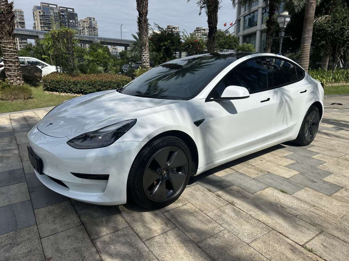 特斯拉 Model 3  2021款 標準續(xù)航后驅(qū)升級版 3D6圖片