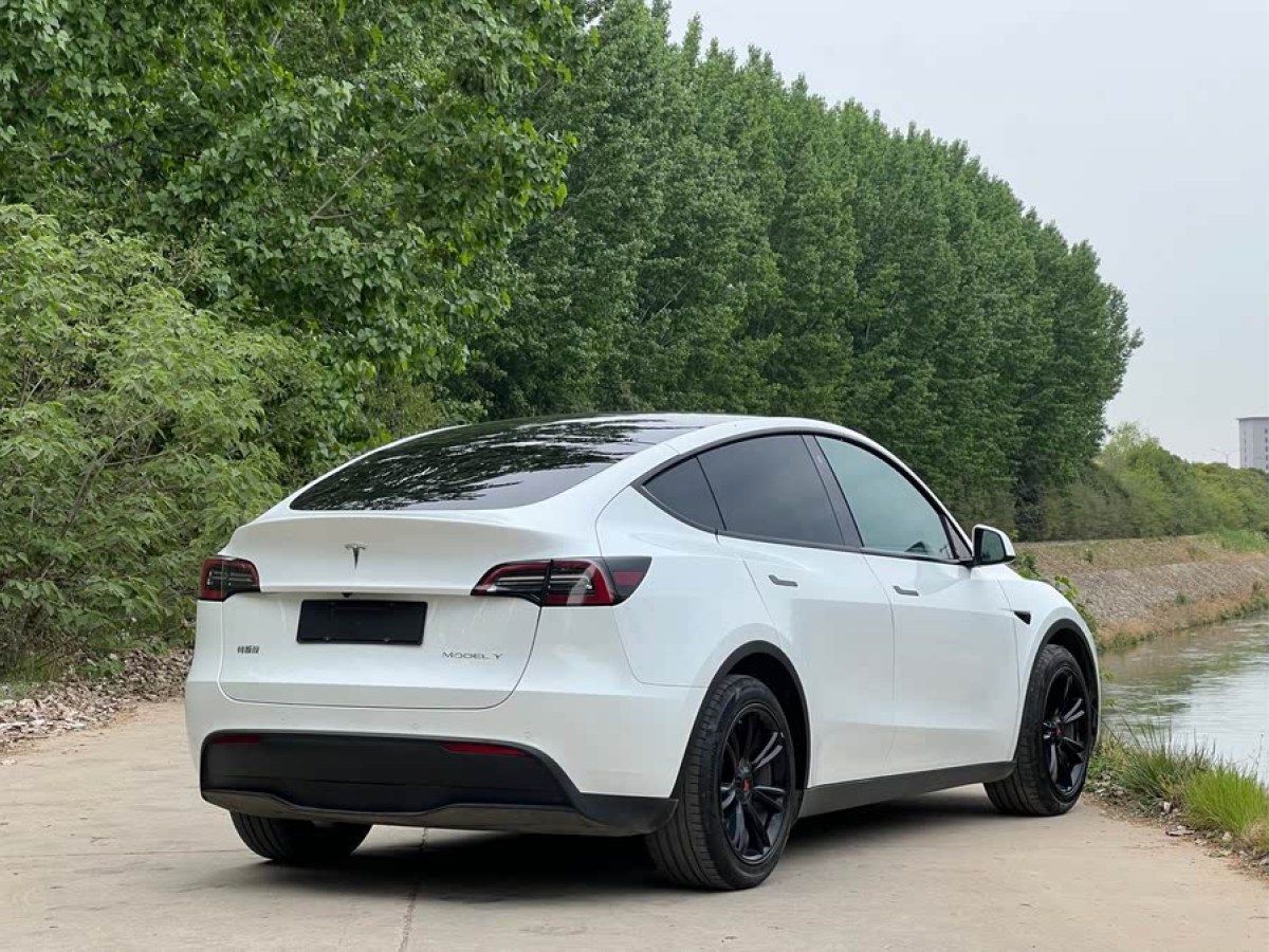 特斯拉 Model Y  2021款 標準續(xù)航后驅版圖片