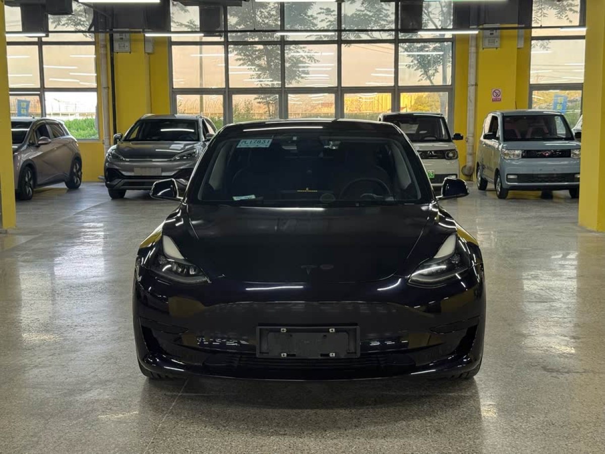 特斯拉 Model 3  2021款 標(biāo)準(zhǔn)續(xù)航后驅(qū)升級版 3D6圖片