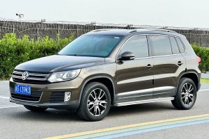 途觀 大眾 1.8TSI 自動(dòng)兩驅(qū)30周年紀(jì)念版