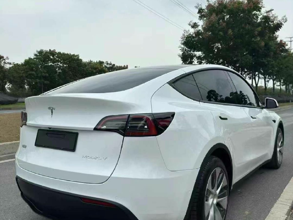 特斯拉 Model S  2023款 三電機(jī)全輪驅(qū)動 Plaid版圖片