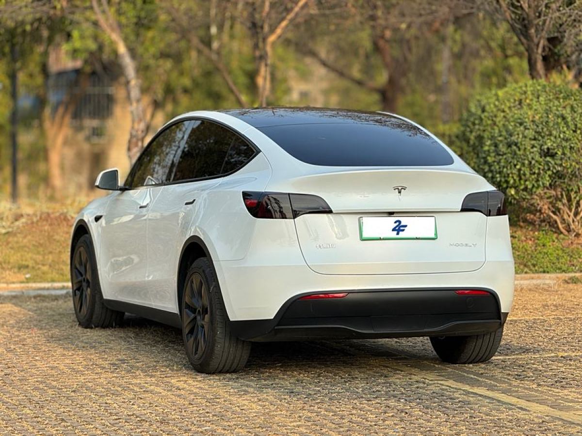 特斯拉 Model Y  2024款 長續(xù)航全輪驅(qū)動(dòng)版圖片