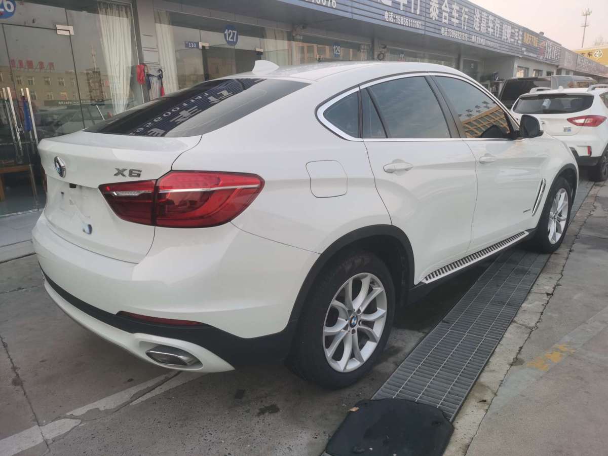 寶馬 寶馬X6  2017款 xDrive35i 領(lǐng)先型圖片