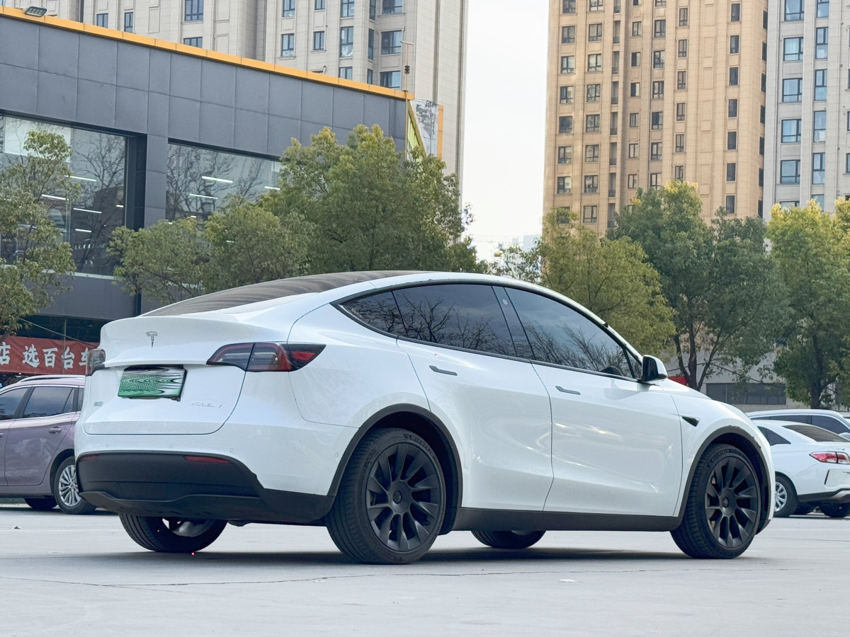 特斯拉 Model 3  2023款 長續(xù)航煥新版 雙電機(jī)全輪驅(qū)動圖片