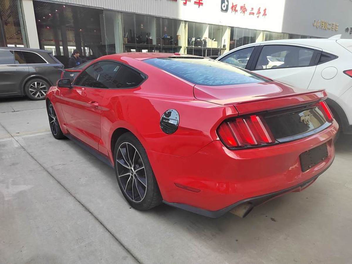 福特 Mustang  2017款 2.3T 性能版圖片