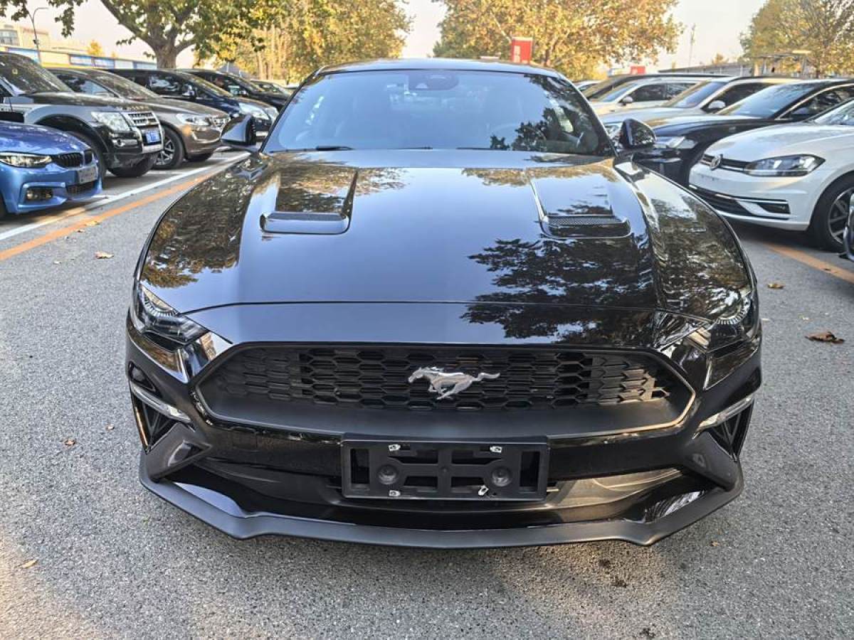 福特 Mustang  2021款 2.3L EcoBoost圖片