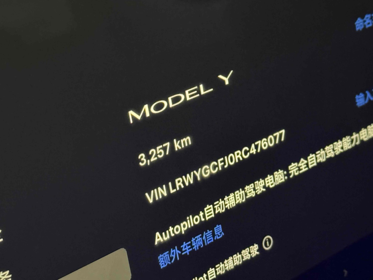 特斯拉 Model 3  2020款 改款 長(zhǎng)續(xù)航后輪驅(qū)動(dòng)版圖片