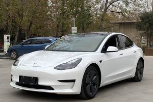 Model 3 特斯拉 改款 標(biāo)準(zhǔn)續(xù)航后驅(qū)升級(jí)版