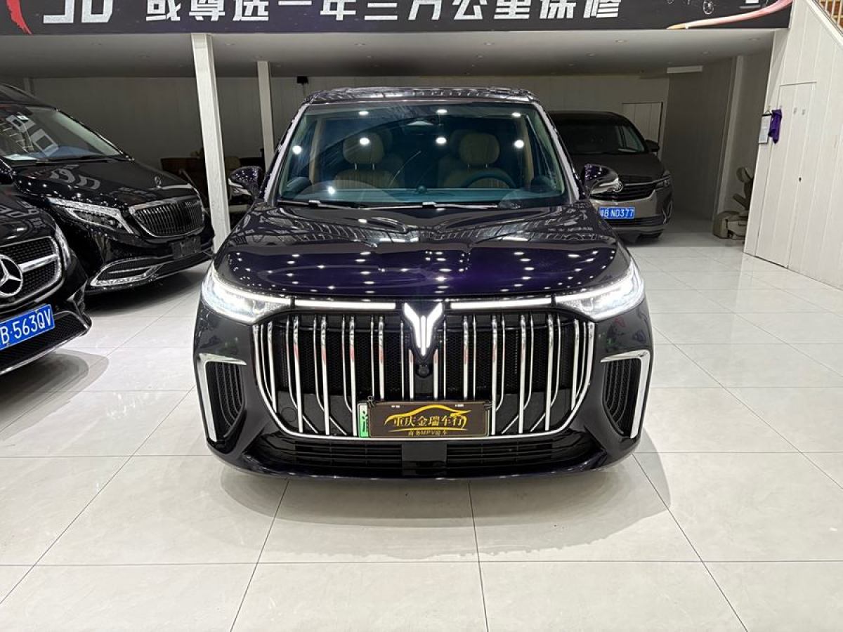 嵐圖 夢想家  2024款 PHEV 超長續(xù)航旗艦版圖片