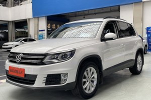 途觀 大眾 300TSI 自動(dòng)兩驅(qū)絲綢之路風(fēng)尚版