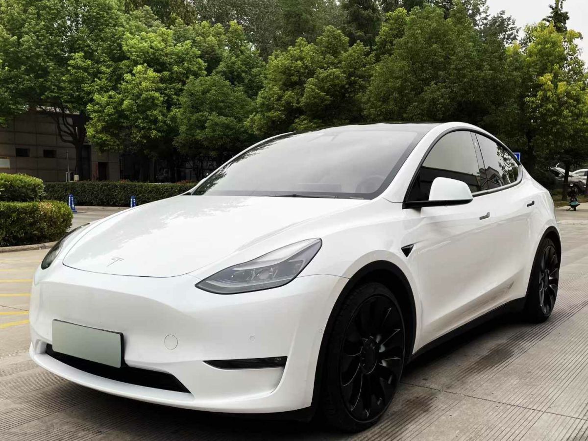 2022年1月特斯拉 Model Y  2022款 Performance高性能全輪驅(qū)動版