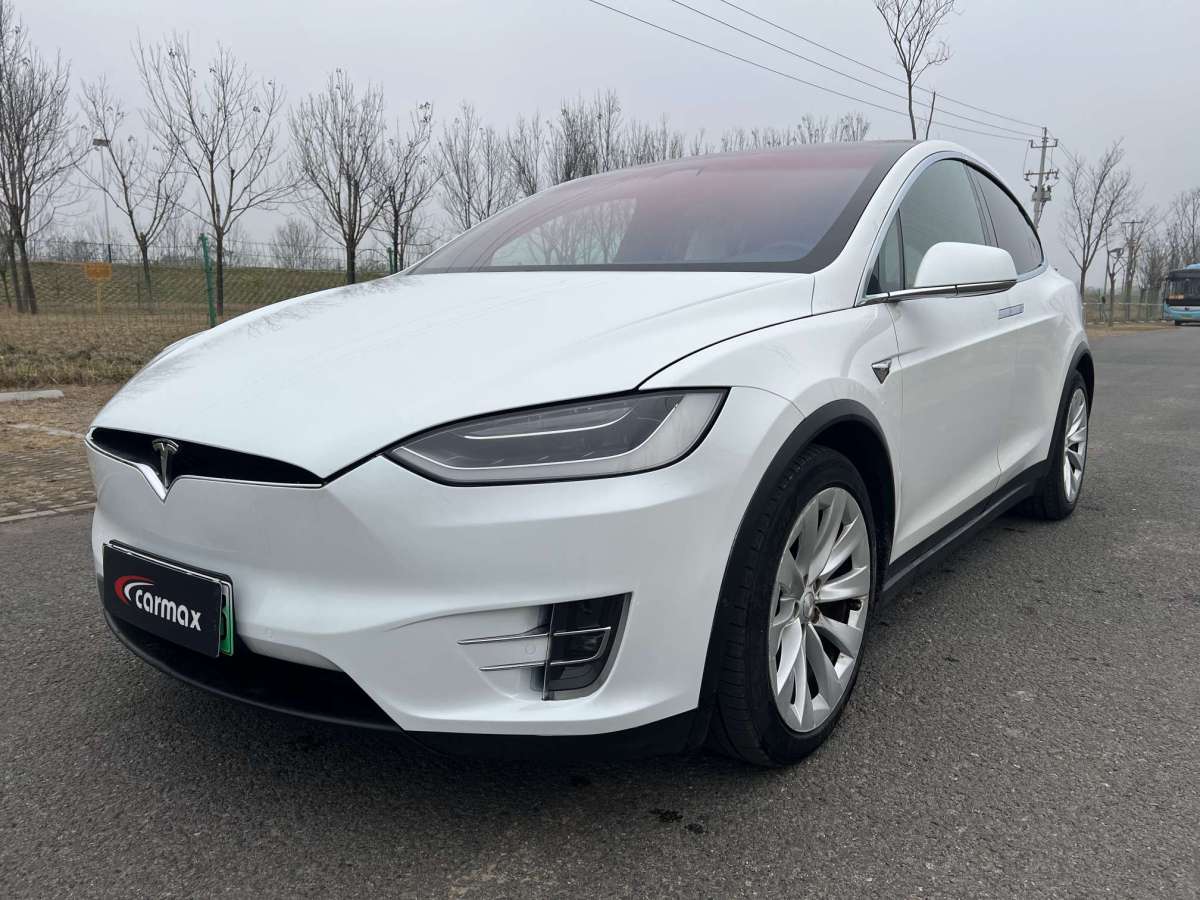 特斯拉 Model X  2017款 Model X 100D 長續(xù)航版圖片