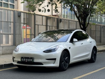 2021年10月 特斯拉 Model 3 标准续航后驱升级版图片