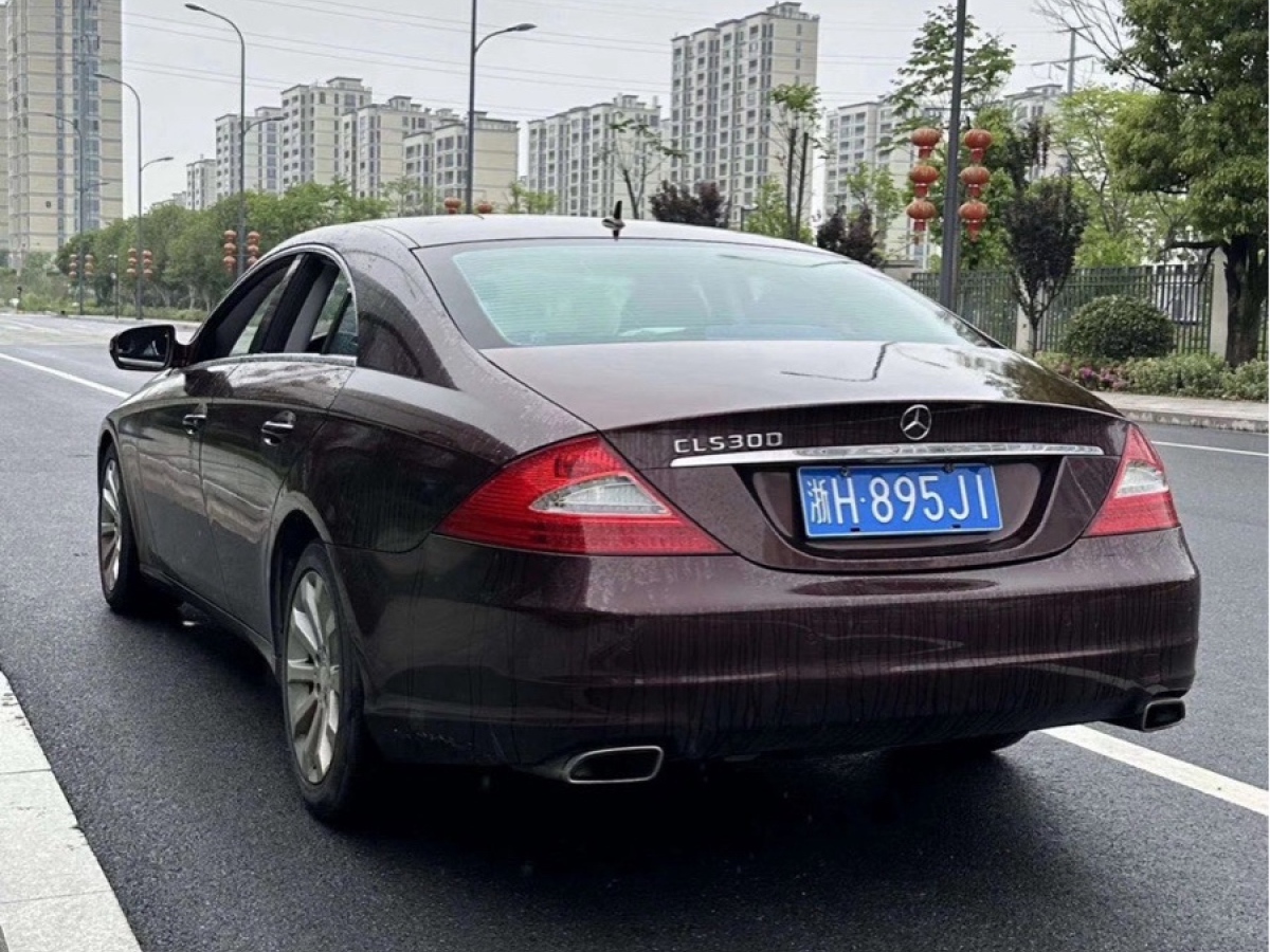 奔馳 奔馳CLS級(jí)  2009款 CLS 300圖片