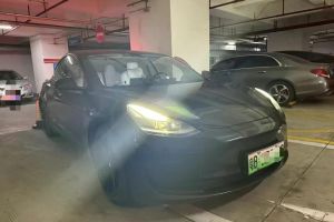 Model Y 特斯拉 標準續(xù)航后驅版