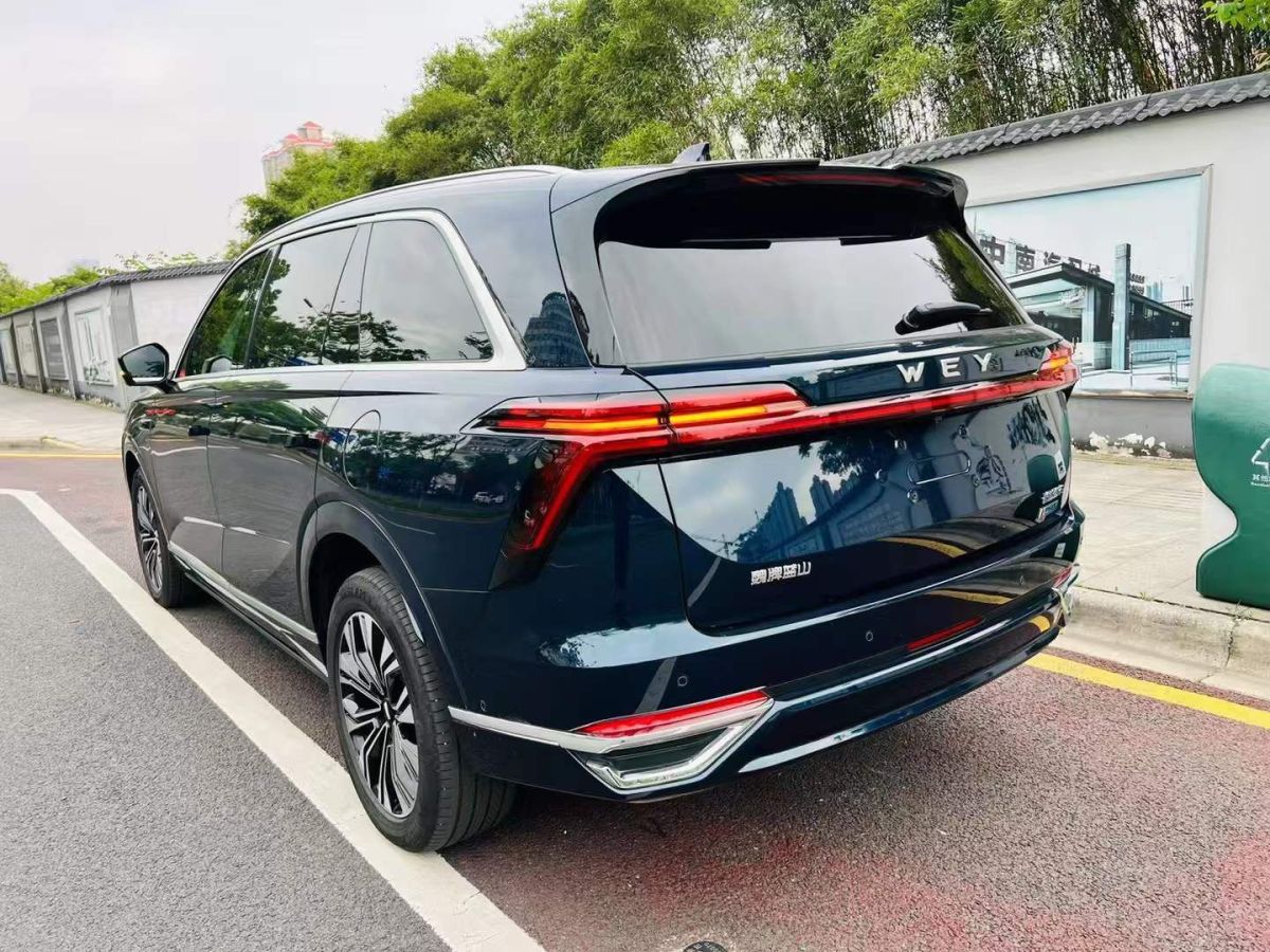奔馳 V級(jí)  2024款 V 300 尊貴版圖片