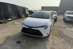 雷凌 豐田 185T CVT科技版