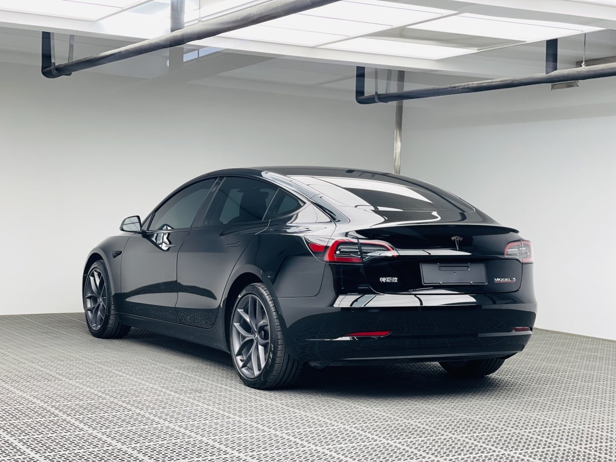 特斯拉 Model 3  2019款 Performance高性能全輪驅(qū)動(dòng)版圖片